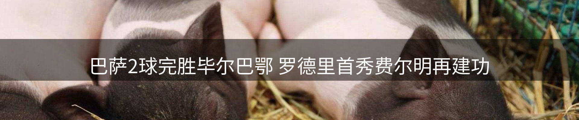 行业报道